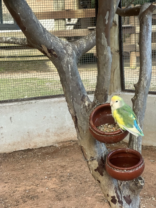 img_0197_1_1x.webp